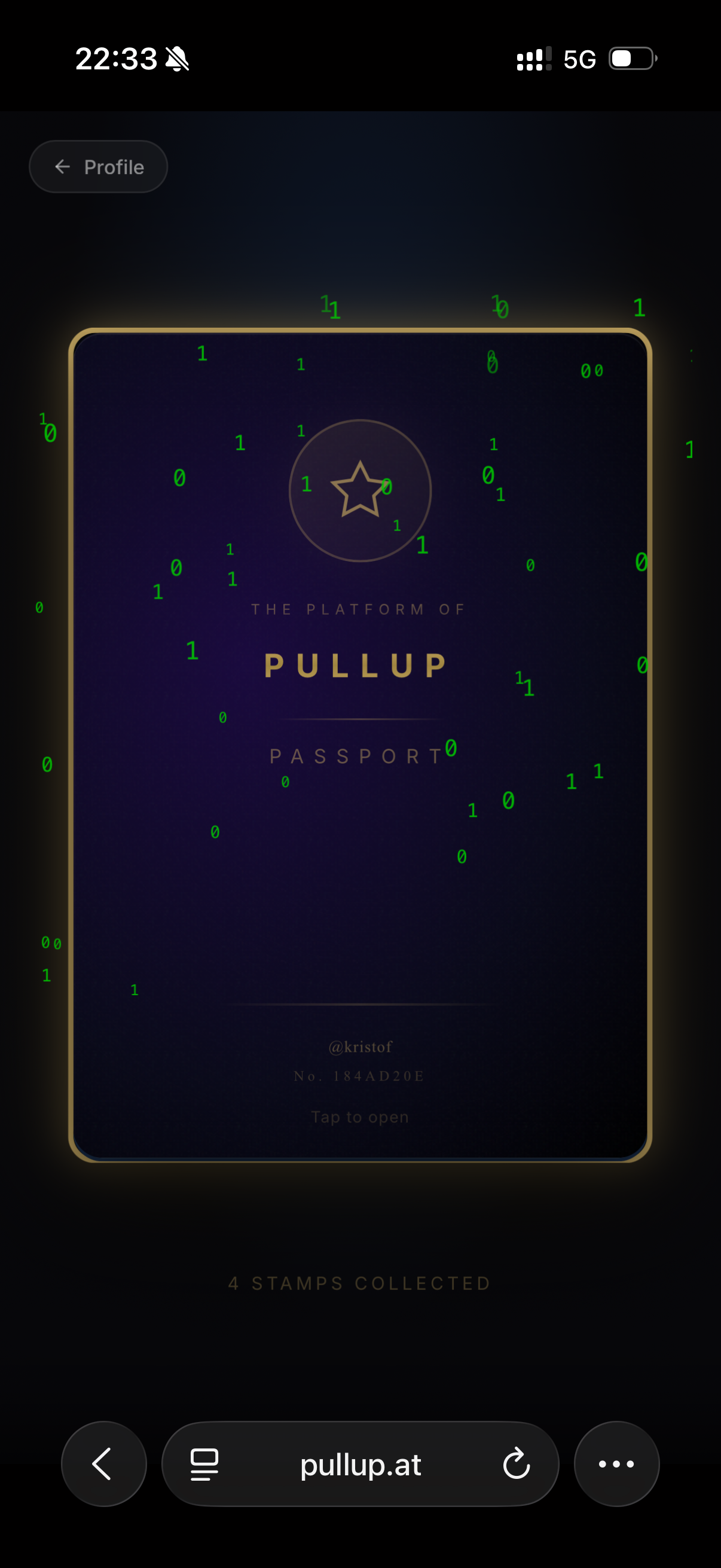 pullup.at - Screenshot 2 showing product features and functionality