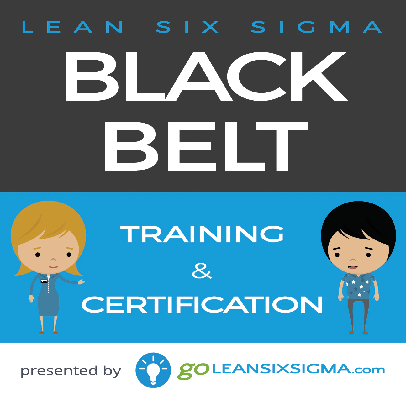 Lean Six Sigma Black Belt Training