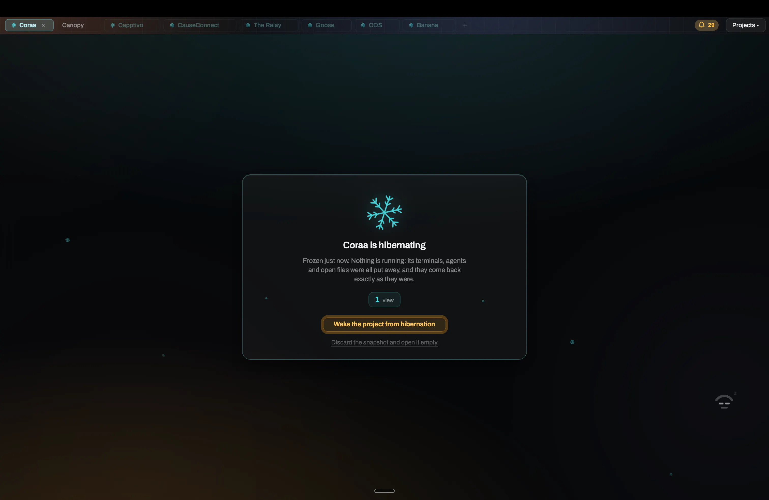 Canopy IDE gallery image