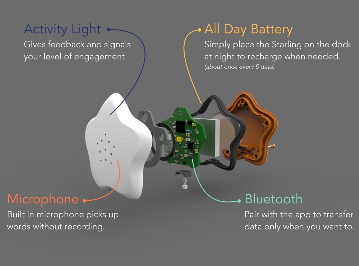 Starling gallery image