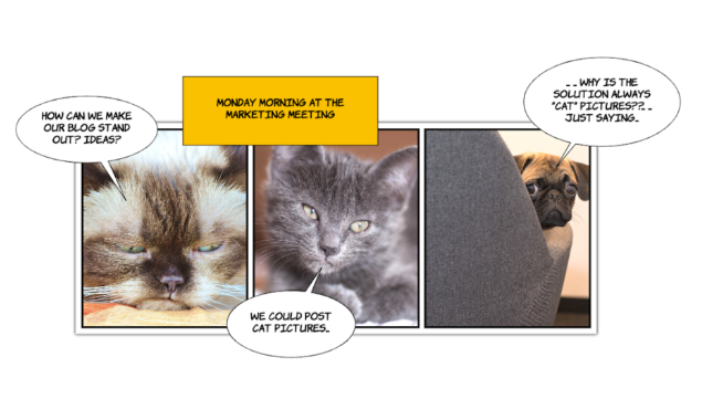 Storytool gallery image