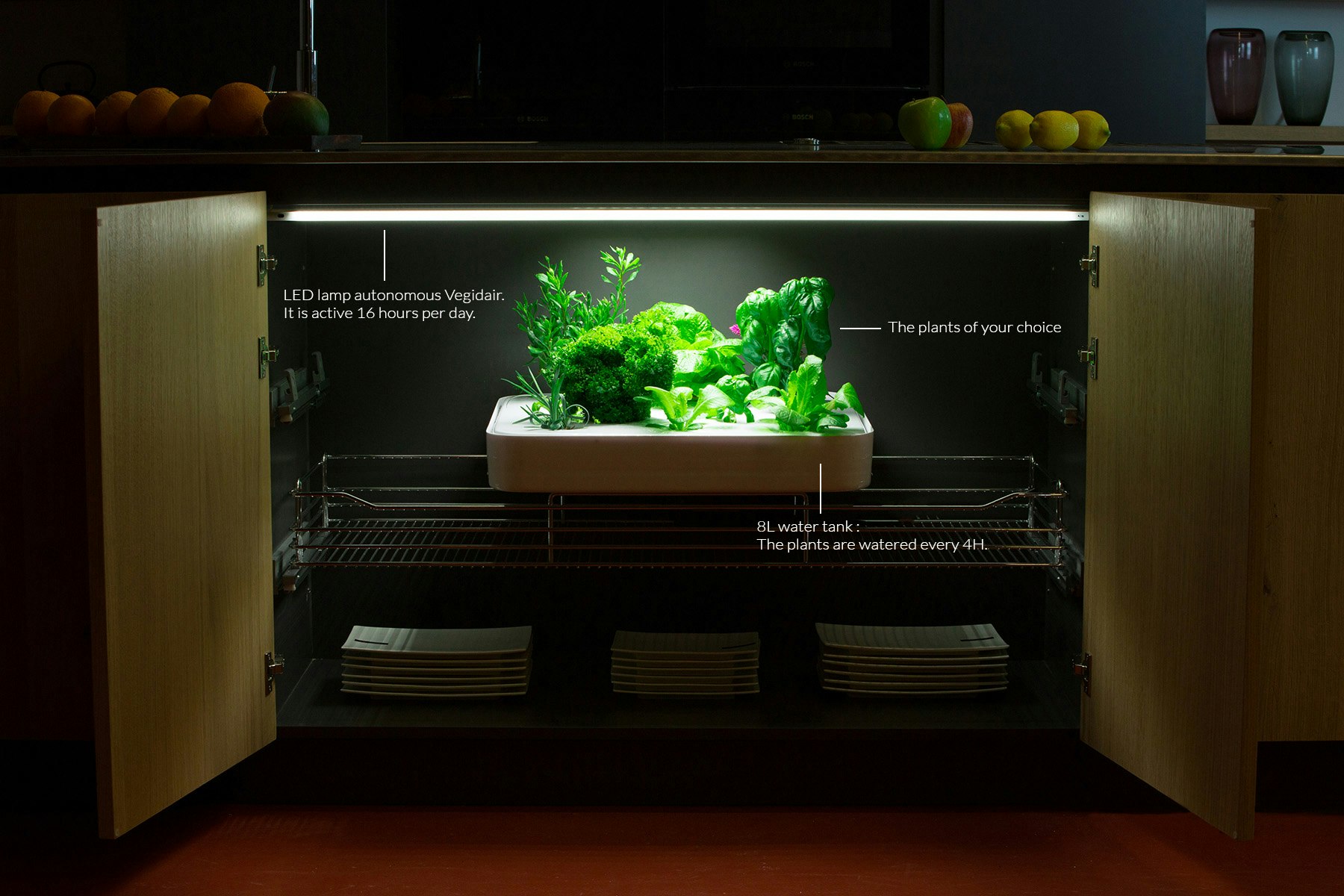 Vegidair gallery image