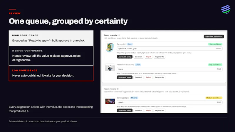SchemaVision: AI search data in Shopify screenshot 4