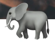 Virtual White Elephant