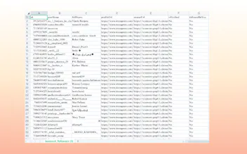 IG Follower Export Tool gallery image