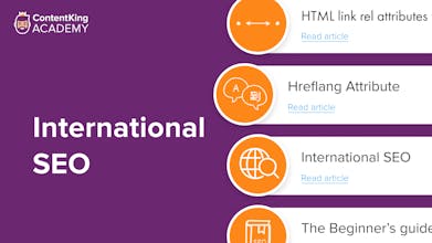 ContentKing gallery image