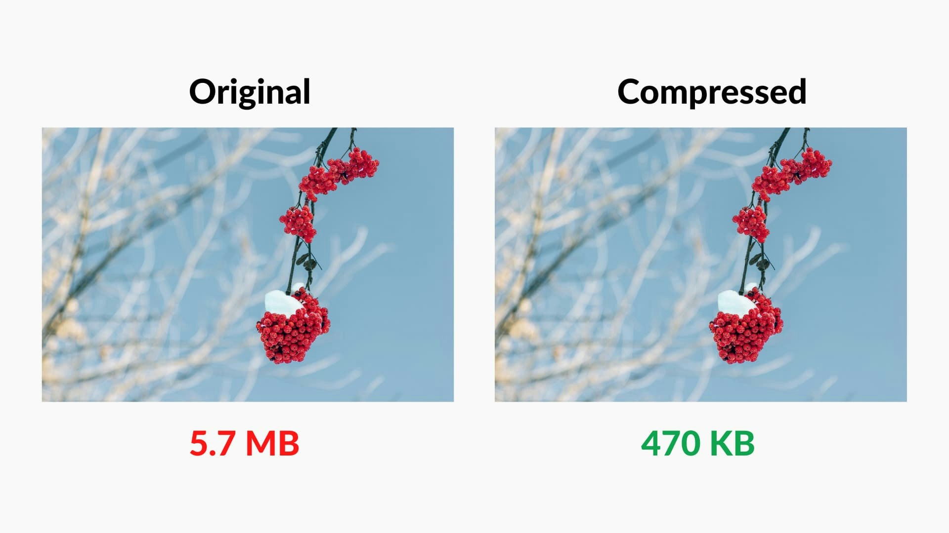 Imagzilla - Compressare, convertire e ottimizzare le immagini online media 3