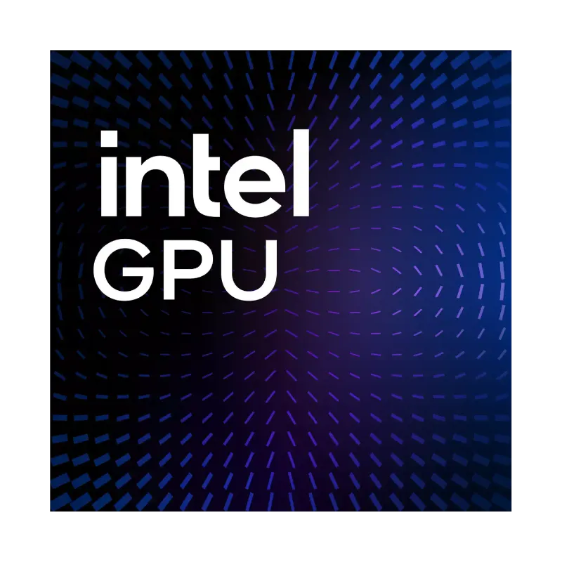 Intel® GPU D-series