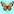 Butterfly Collector