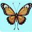 Butterfly Collector