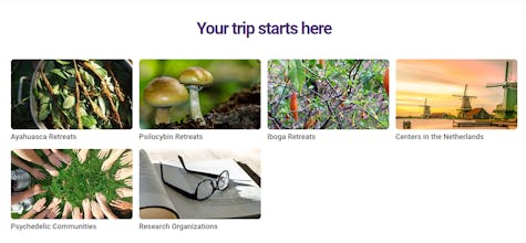 Psychedelic Experience gallery image