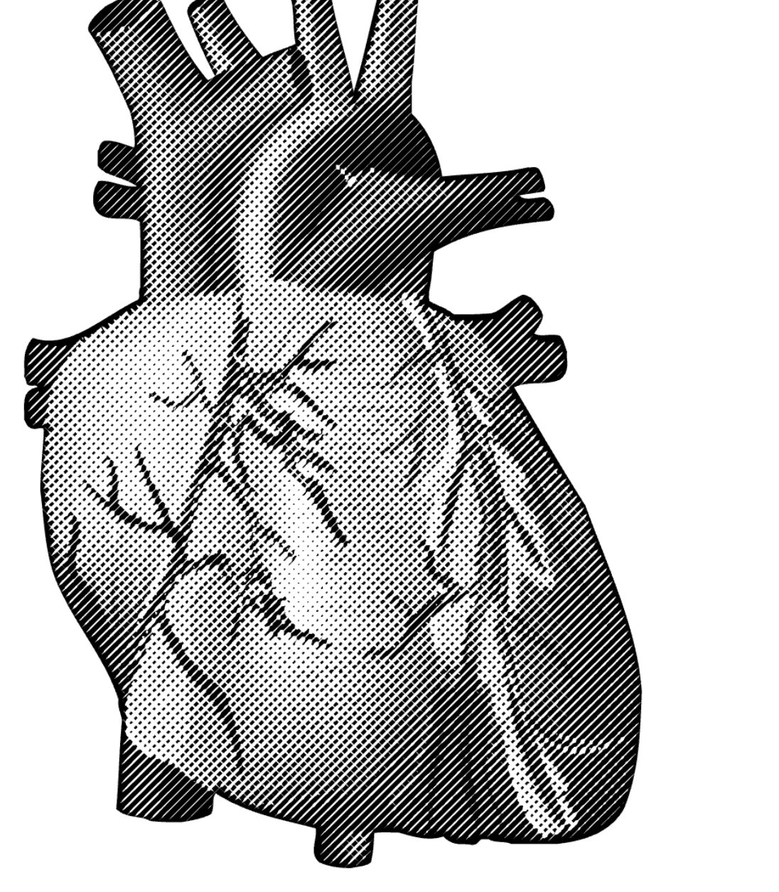 StrokesMaker gallery image