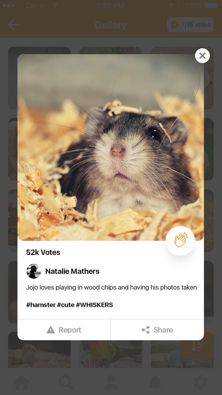 PhotoLoot gallery image