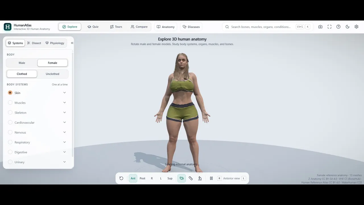 HumanAtlas gallery image