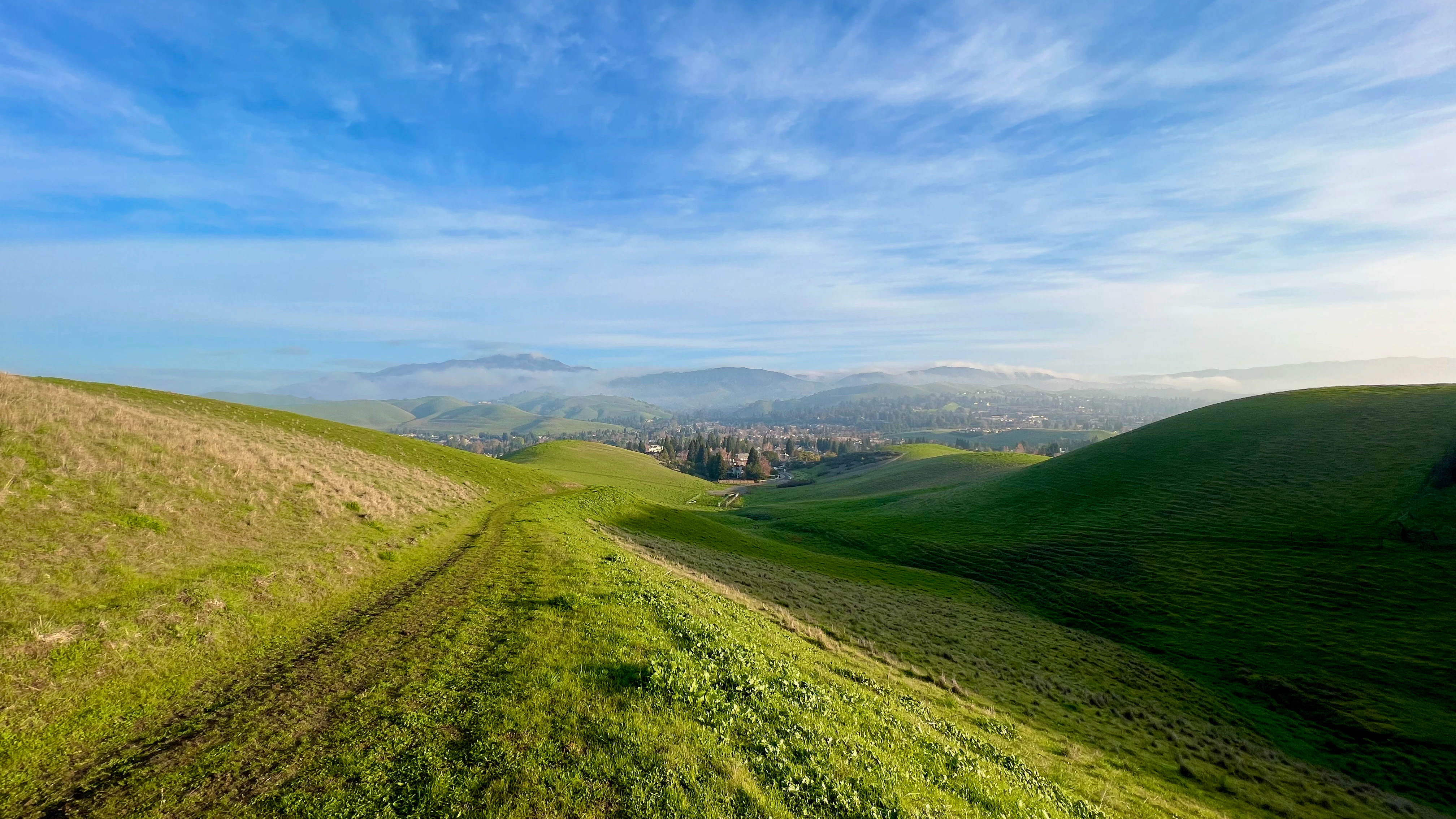 Mohammad A Handjani cover