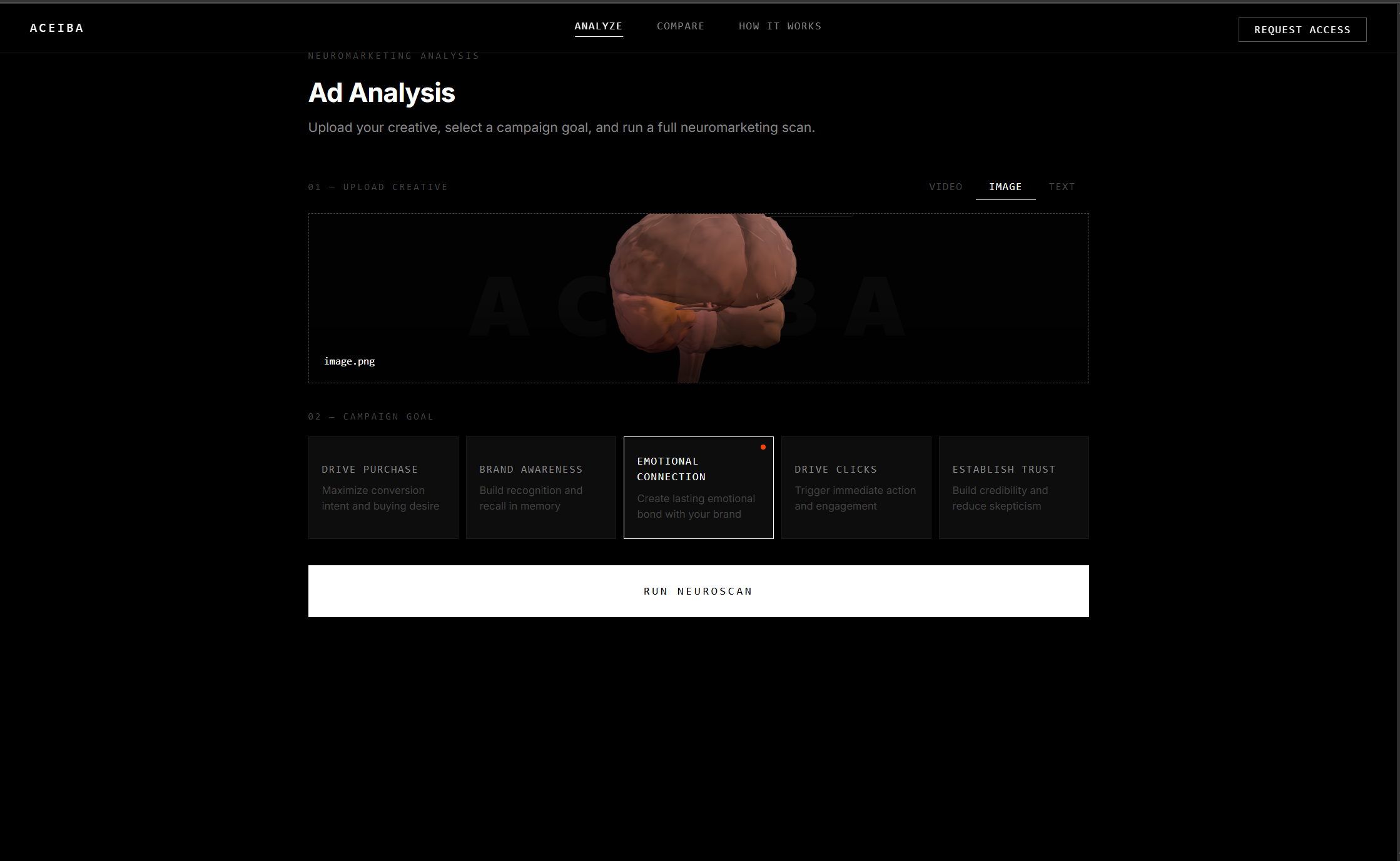 Aceiba gallery image