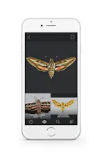 Fieldguide gallery image