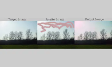 Image Colour Transfer gallery image