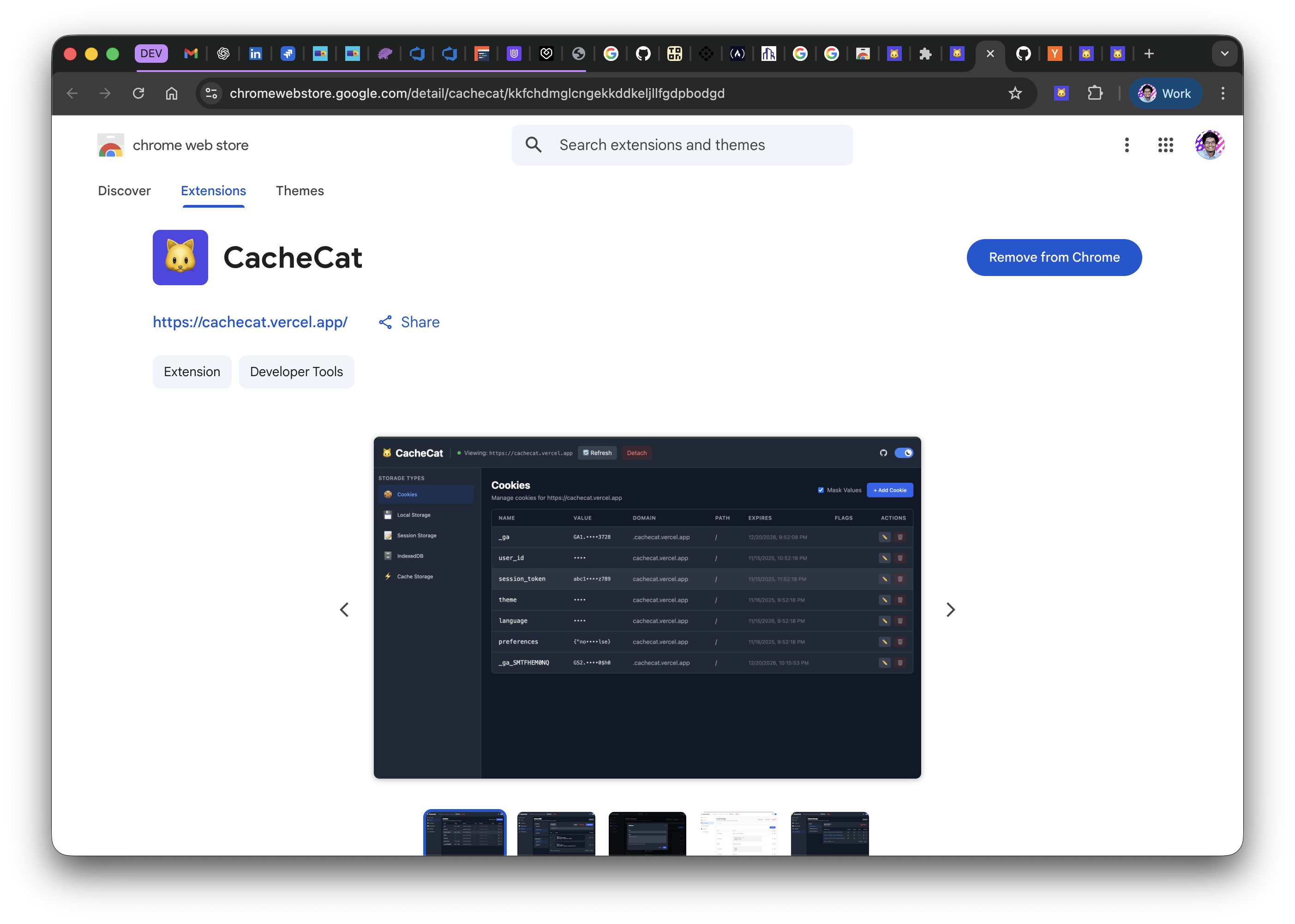 CacheCat gallery image