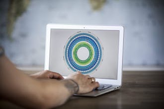 Plandisc gallery image