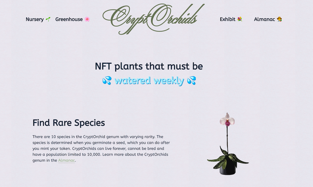 CryptOrchids - An NFT-based game to keep digital flowers alive ...