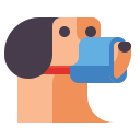 Museau