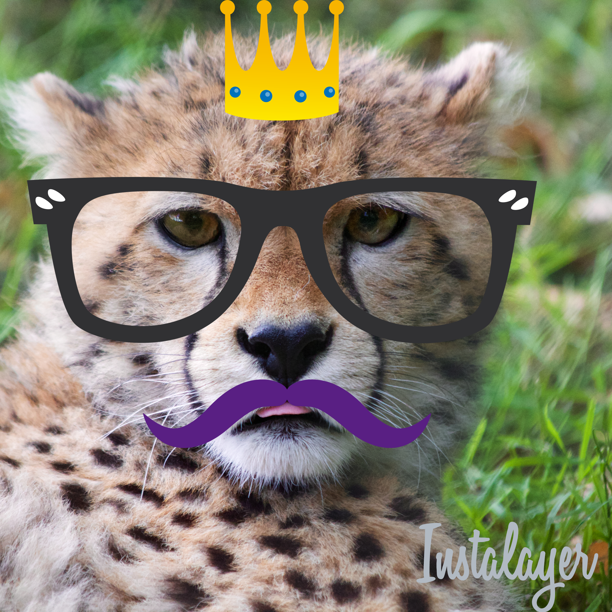 Instalayer gallery image