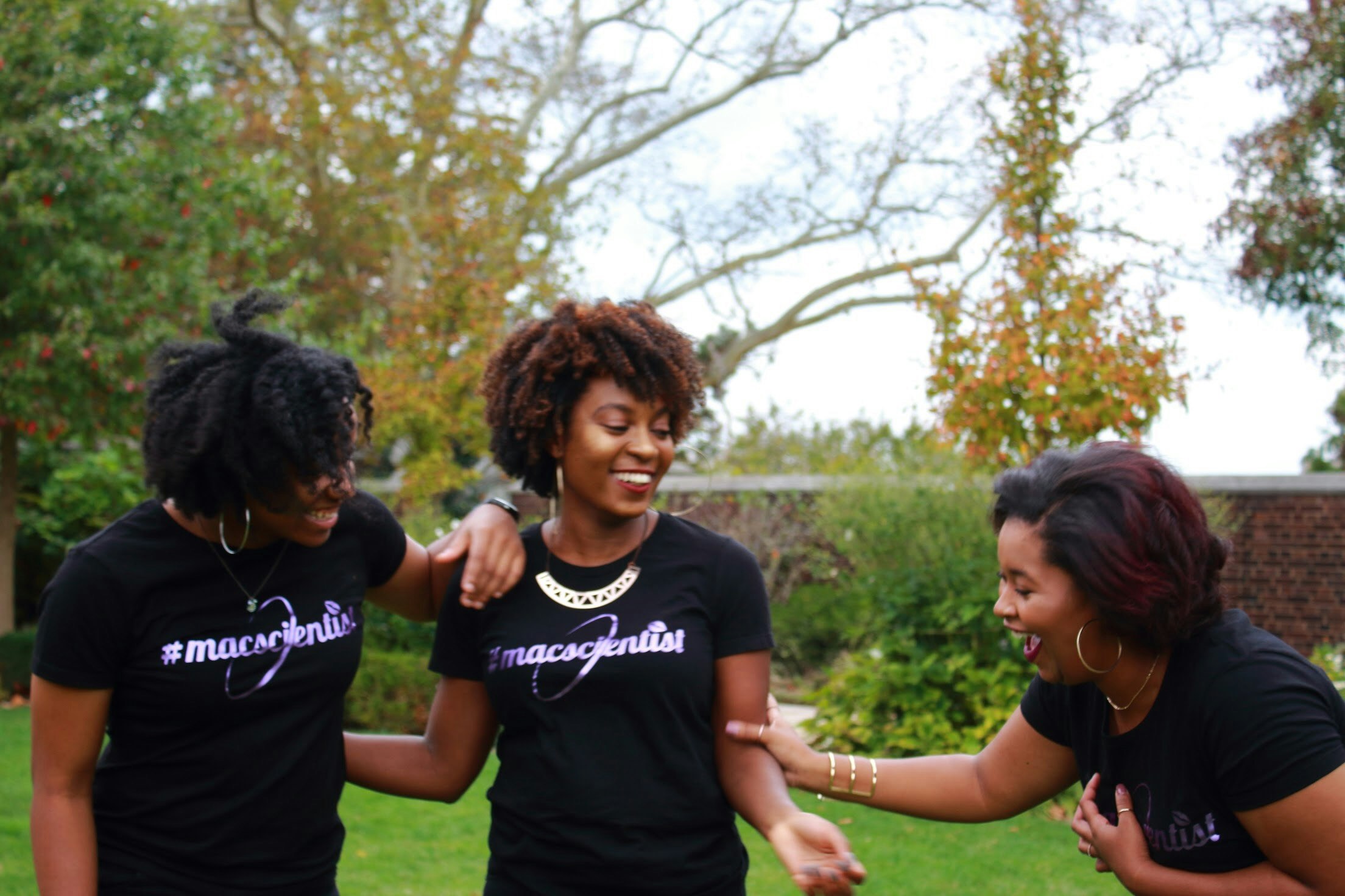 MacScientists gallery image