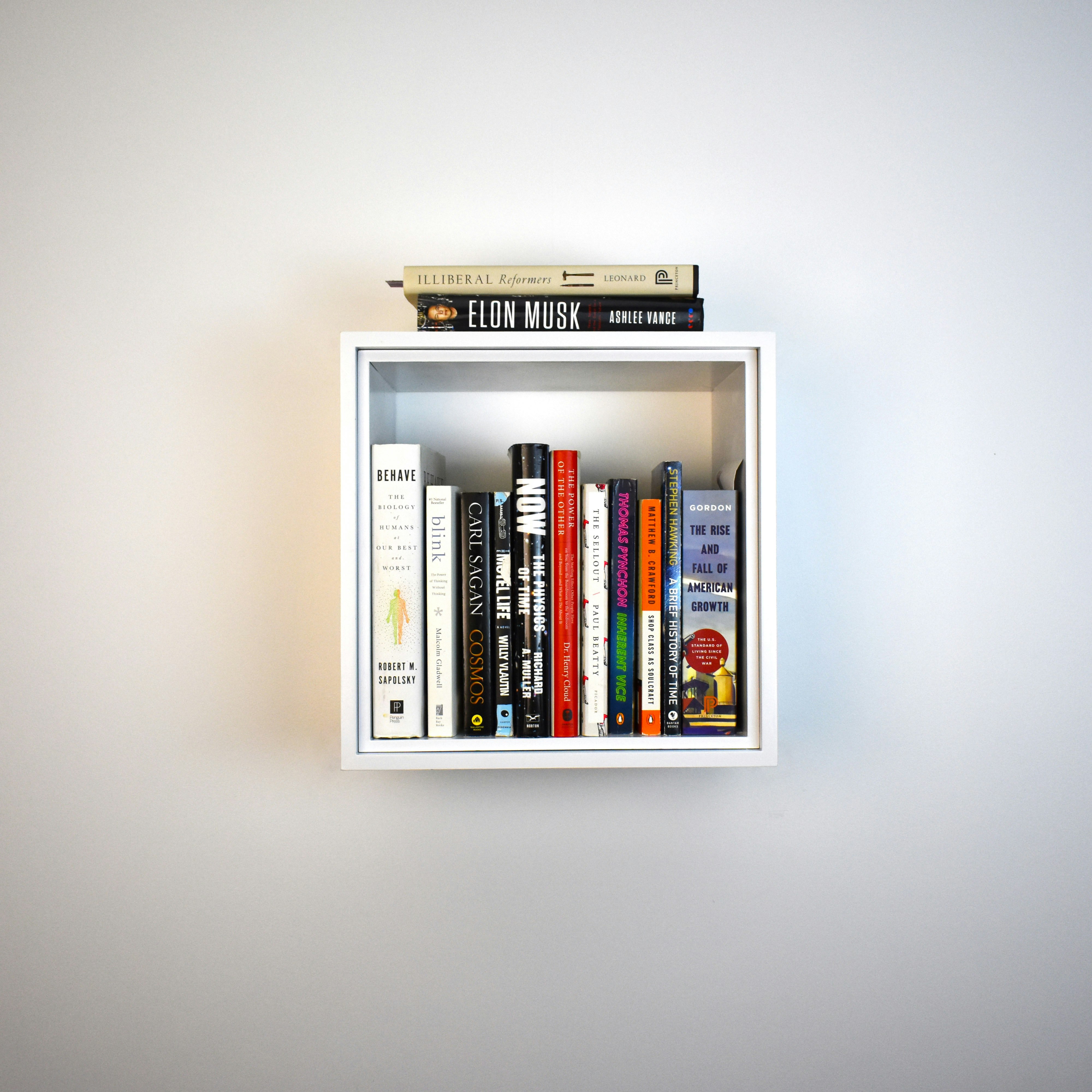 THE SHELF gallery image