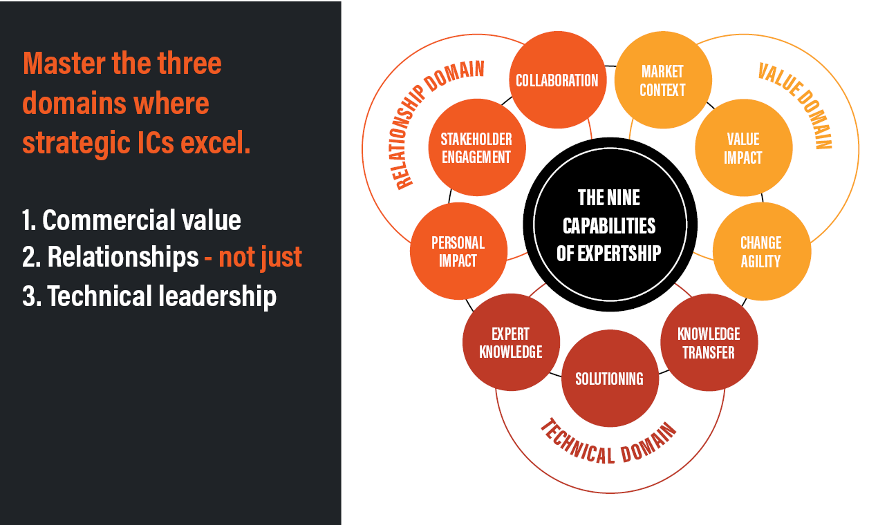 Master Expert gallery image