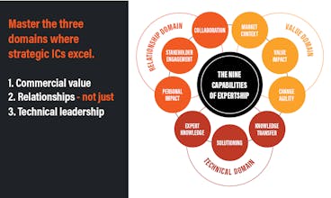 Master Expert gallery image