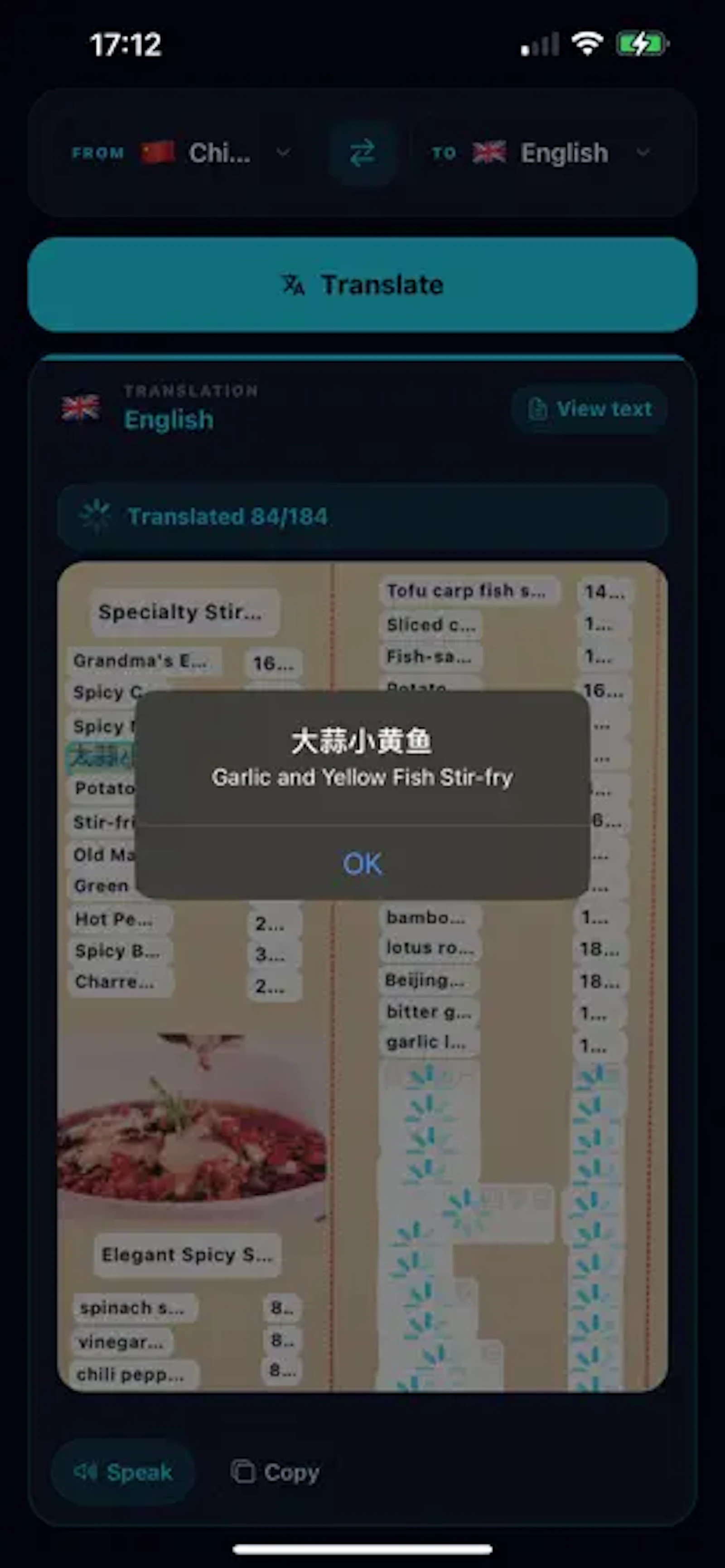 Nomad Translator screenshot 3