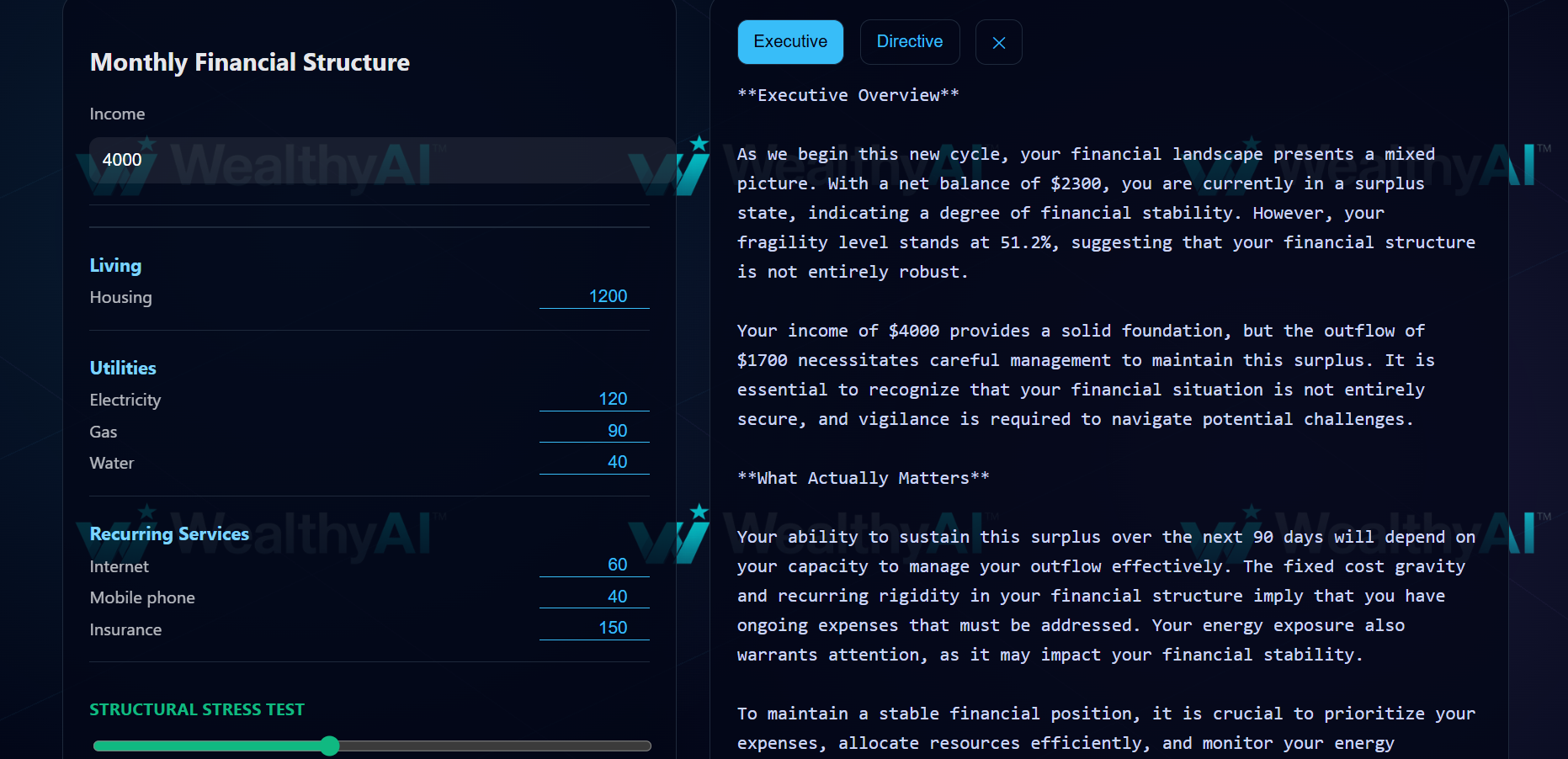 WealthyAI ⧈ gallery image