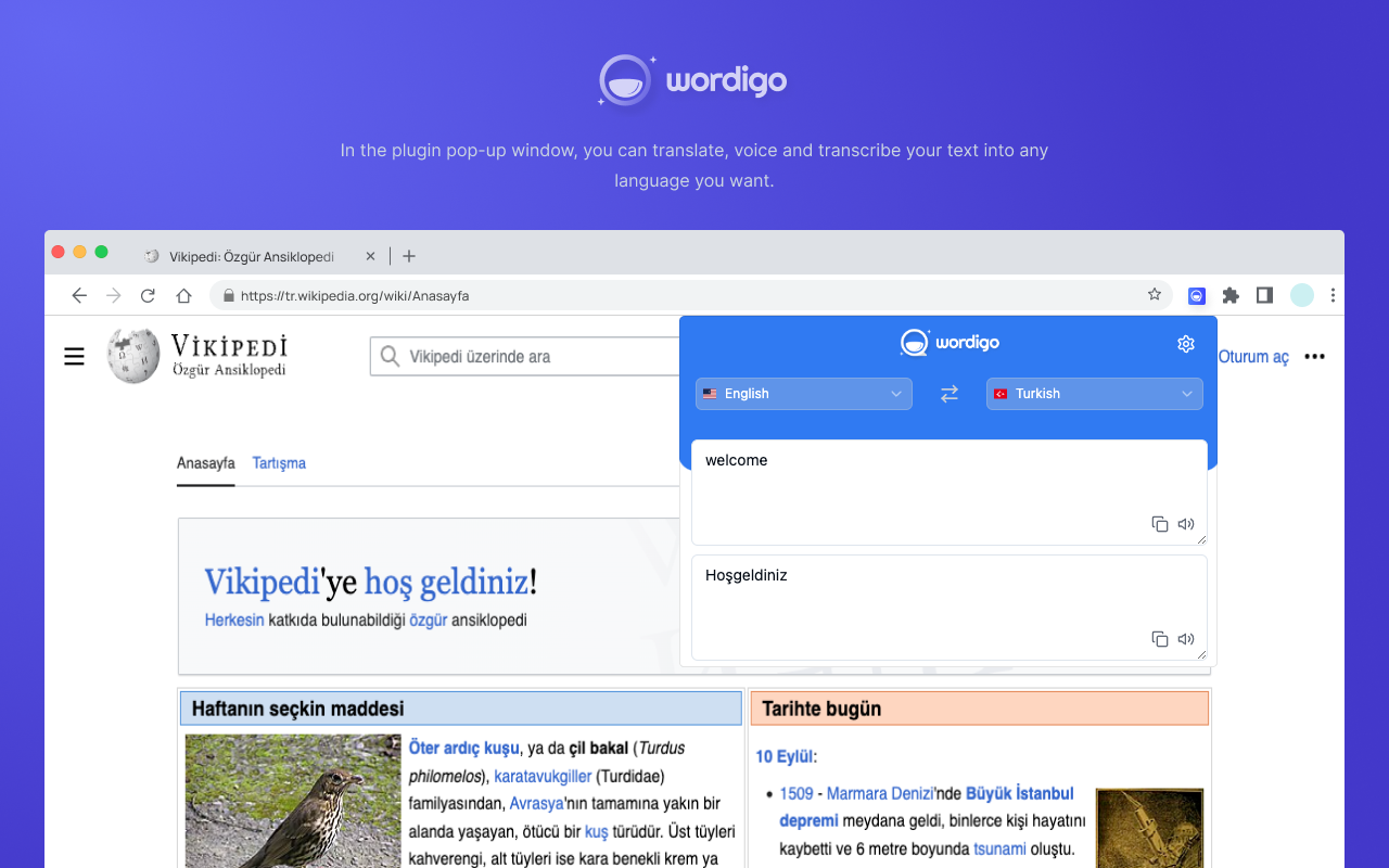 Wordigo media 3
