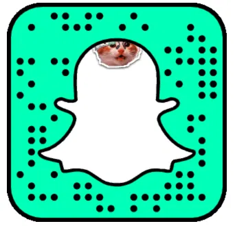 Snaptag Editor Image