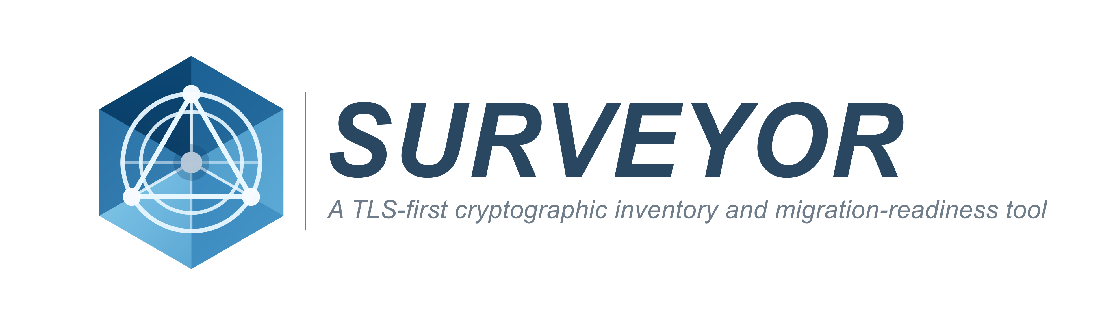 Surveyor gallery image