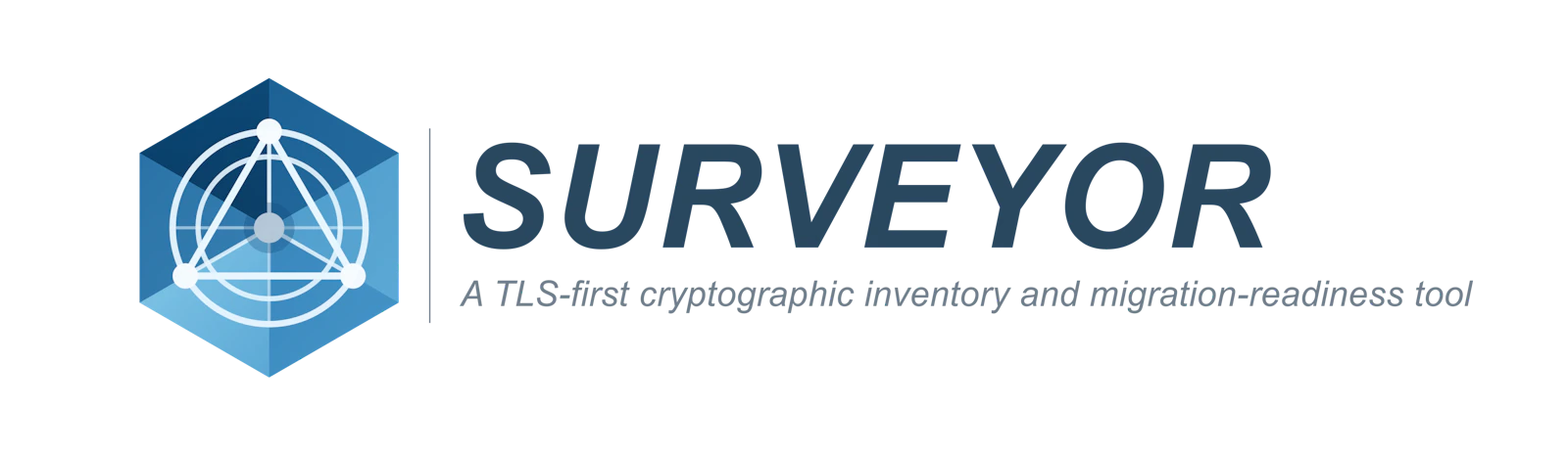 Surveyor screenshot 1