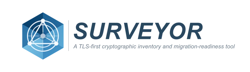 Surveyor screenshot 1