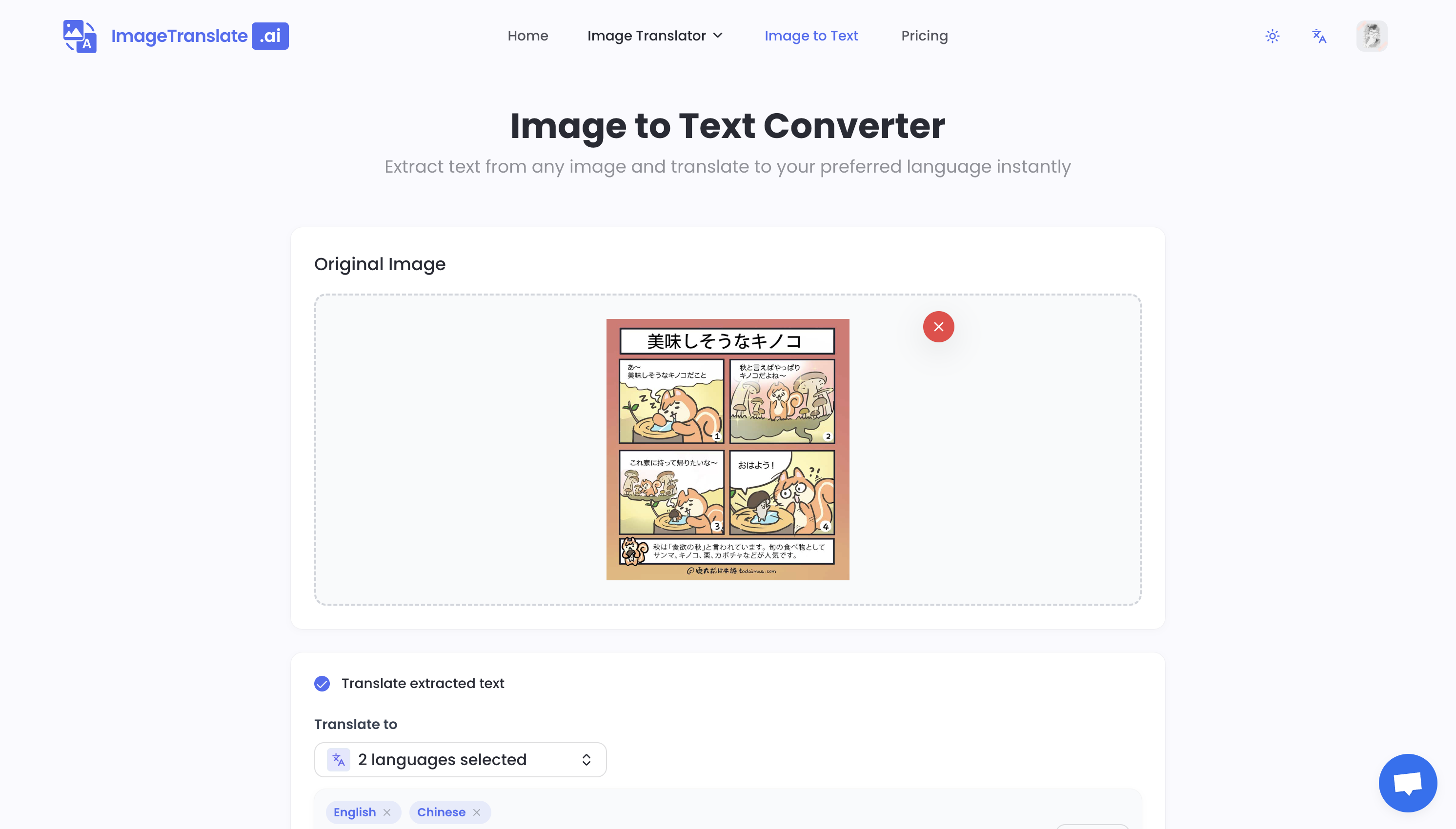 Image to Text Converter And Translator gallery image