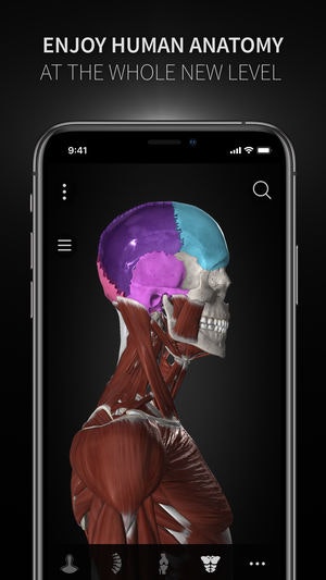 Anatomyka gallery image