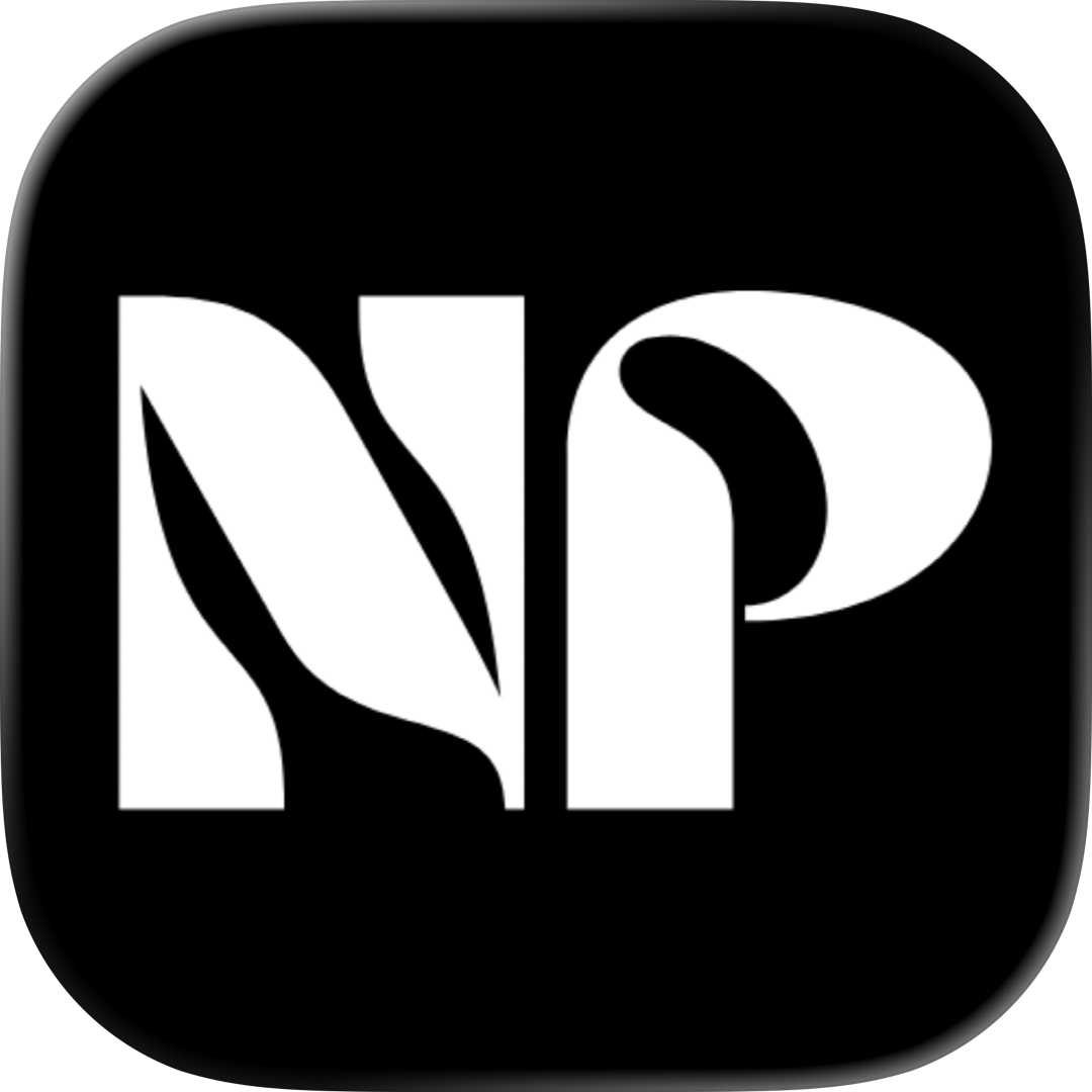 Nepalipay gallery image