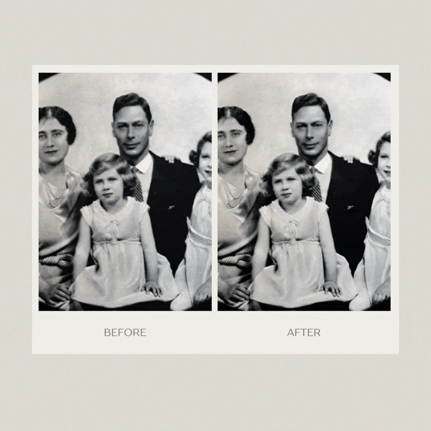 Bring Family History to Life - Main product screenshot demonstrating key features and user interface