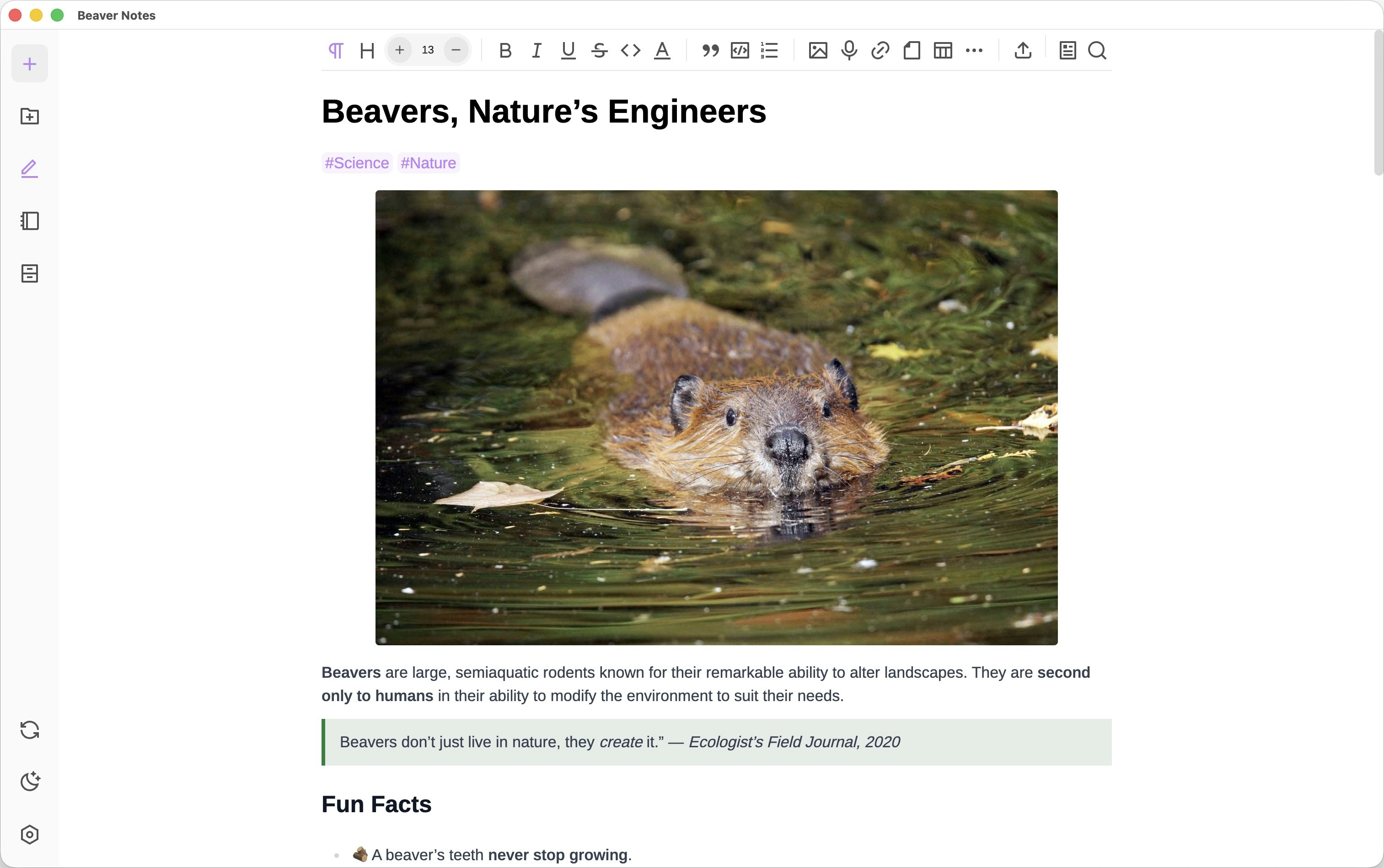 Beaver Notes gallery image
