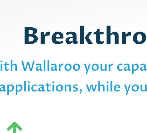 Wallaroo Labs gallery image