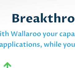 Wallaroo Labs gallery image