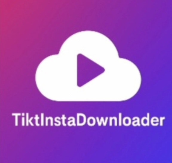 TiktInstaDownloader