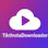 TiktInstaDownloader