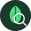 Plantara logo