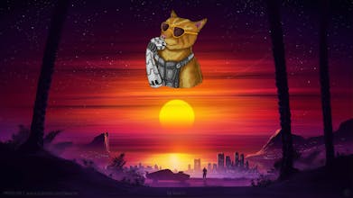 Keyboards and Cats gallery image