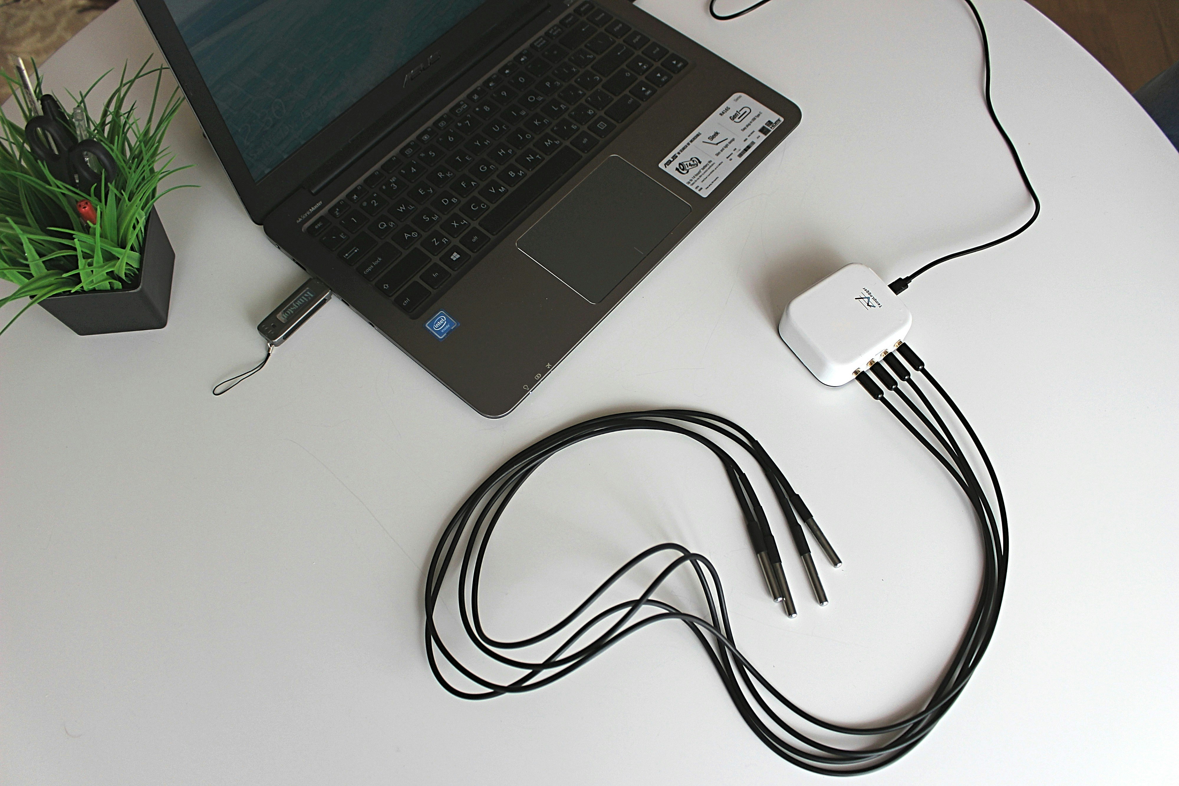 TempLogger gallery image